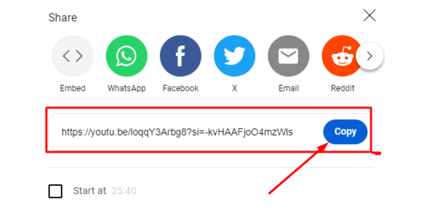 Copy and Paste the Video URL